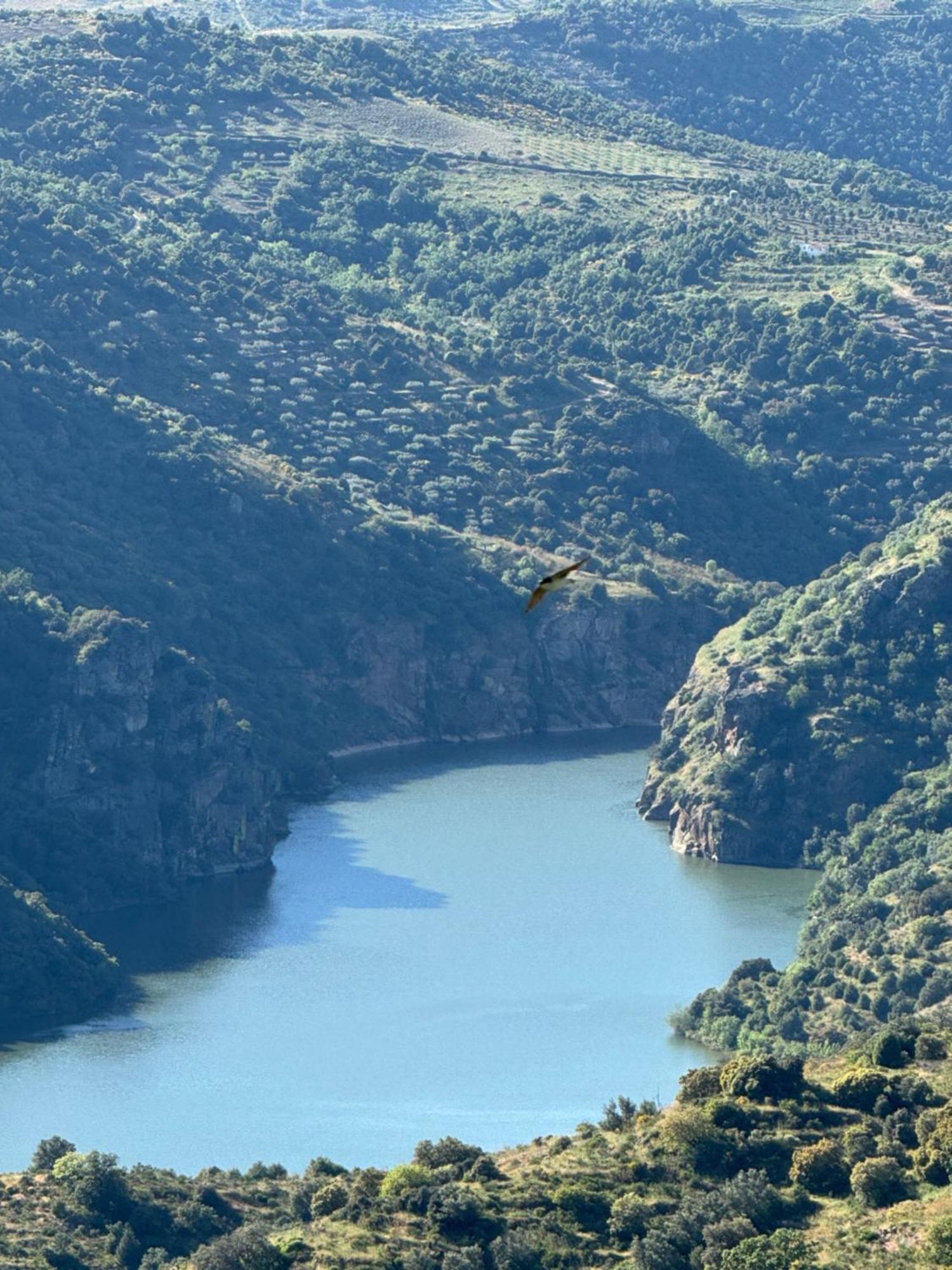 La Casita De Los Arribes Fermoselle Luaran gambar