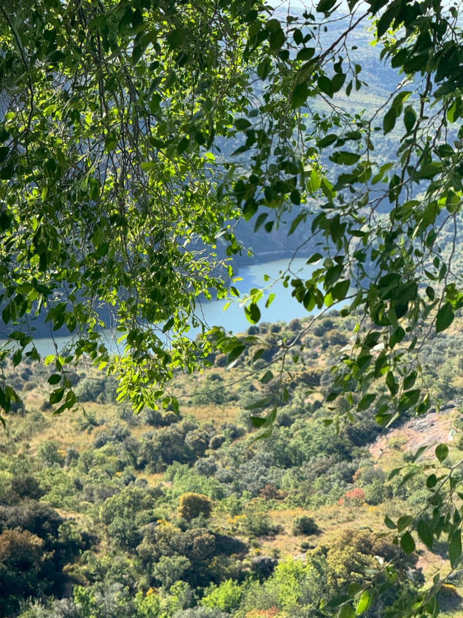 La Casita De Los Arribes Fermoselle Luaran gambar